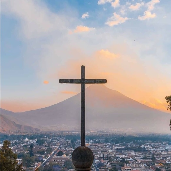 Meet your Posher, Alex - Picture 2 of 2